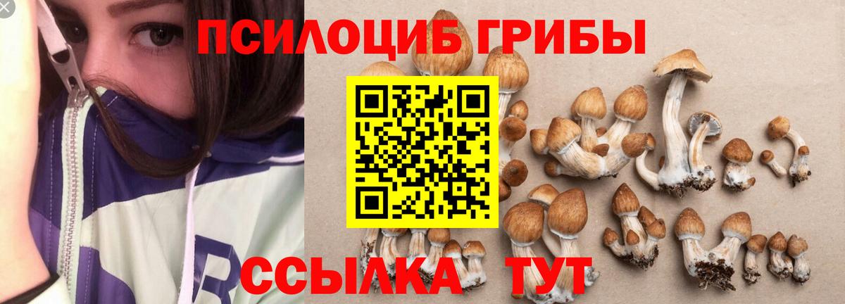 наркотики  Вход с VPN  Радужный  Псилоцибиновые грибы MAGIC MUSHROOMS 